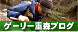 ゲーリーブログ