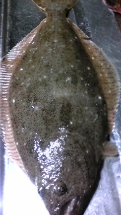 20100131023920