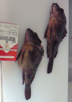 201001312353000