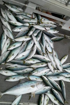 2010030316040000