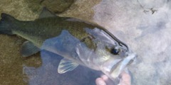 20100830170728