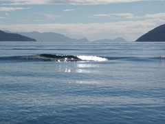 P8050885