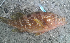 2010090205580000