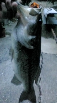 20100906182806