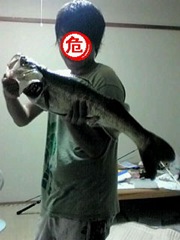 20100908035831