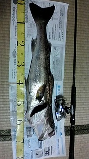 20100908040221