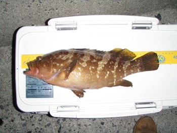 P8300950