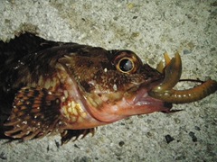 P8300952