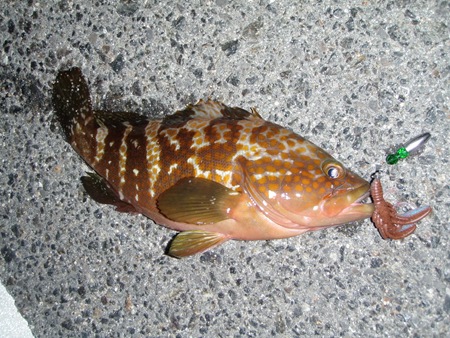 P8300955