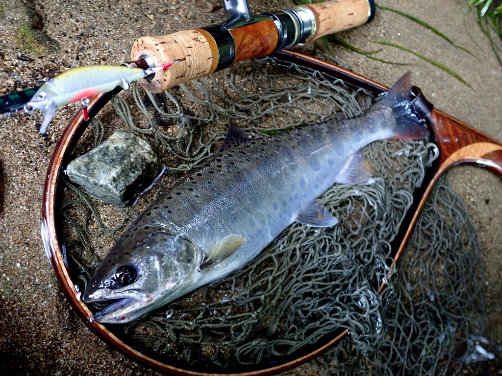 魚 釣り レリーフ 山女魚ーヤマメ Little Wildlife XIII-