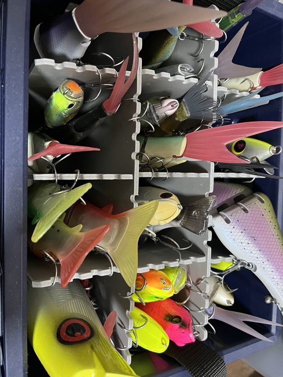 ベストバイ 2023】アルバイタージャイアント金田のTOP3！(パゴスニュース)