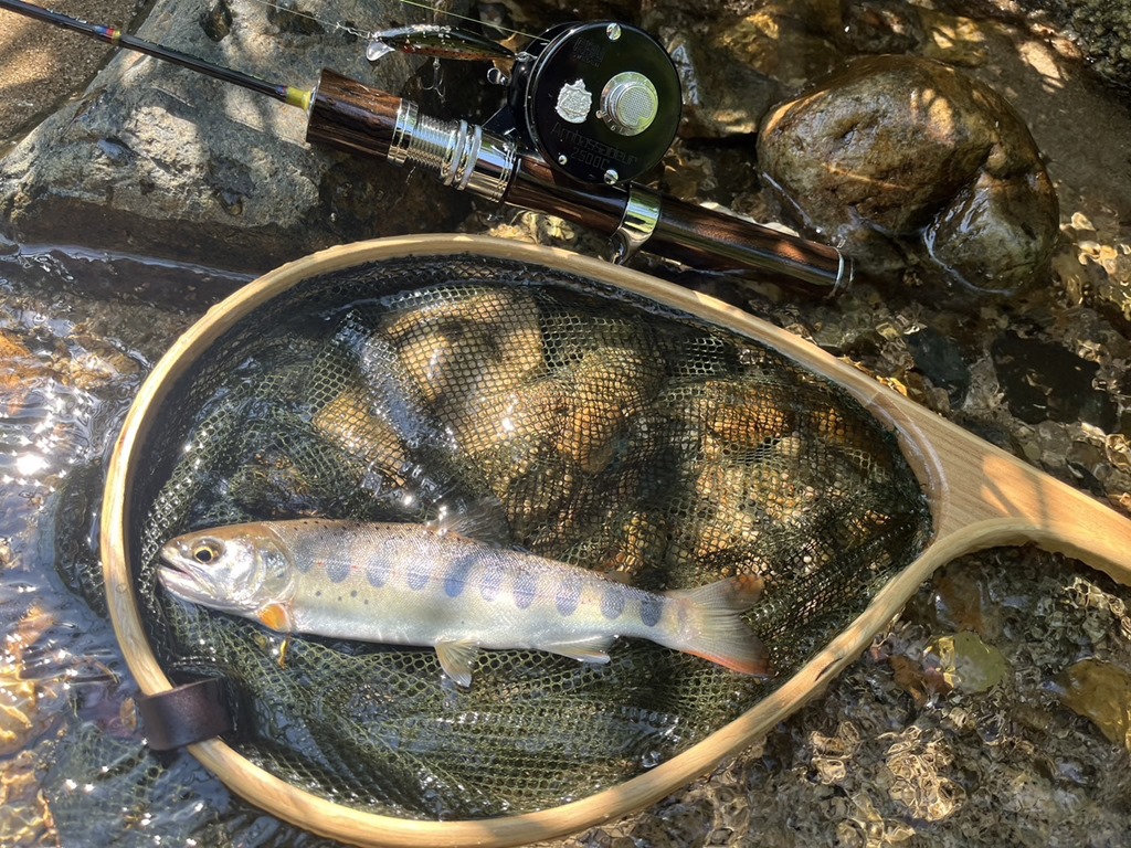 スナップアンドサルカン　ボラボックス Amazon.co.jp: 超︎ツリジャンキー×スナップアンドサルカン ボラ