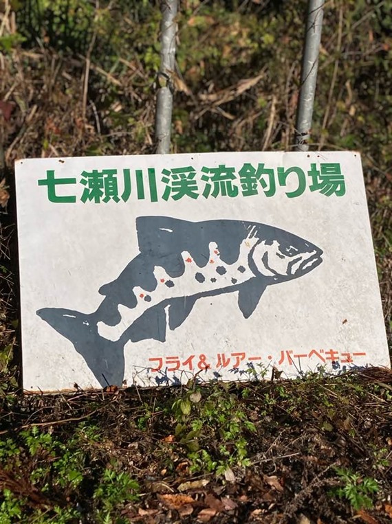 七瀬川渓流釣り場　広島サーモン (8)