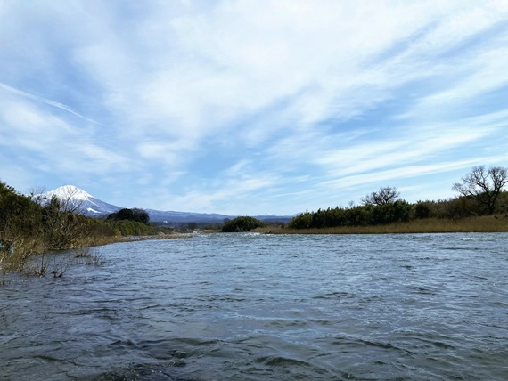 広島　中国地方　渓流釣り　渓流トラウト　ヤマメ釣り　アマゴ釣り (38)
