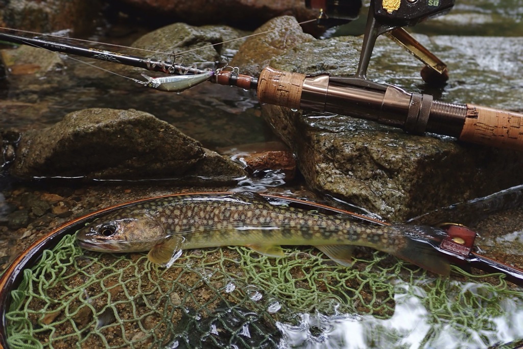 2025年の渓流トラウトシーズン終了！(スタッフ増田釣行記)
