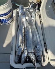 583397698_18531924127001166_4793400405226968656_n