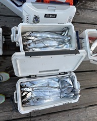 584301611_18531924136001166_1206594107567662012_n