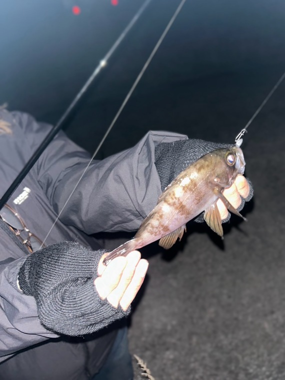 653701762_18560988730001166_5072053631091145085_n