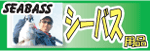 シーバス用品