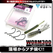 worm300_1