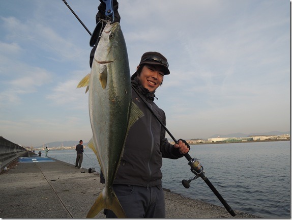 広島市内でブリが釣れています パゴスニュース 釣具買取 釣具通販 中古釣具通販のパゴスリサイクル釣具 Pagos