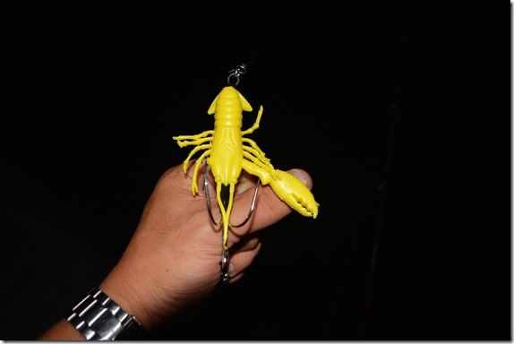 DSC_1402 DSC_1402