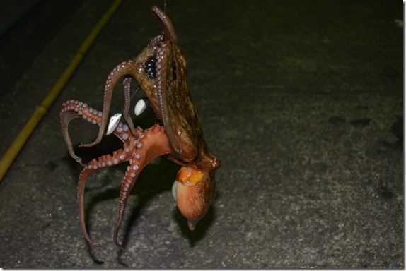 DSC_1418 DSC_1418