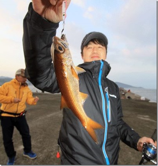 パゴス一押し クロムツゲーム 本店お知らせ 釣具買取 釣具通販 中古釣具通販のパゴスリサイクル釣具 Pagos