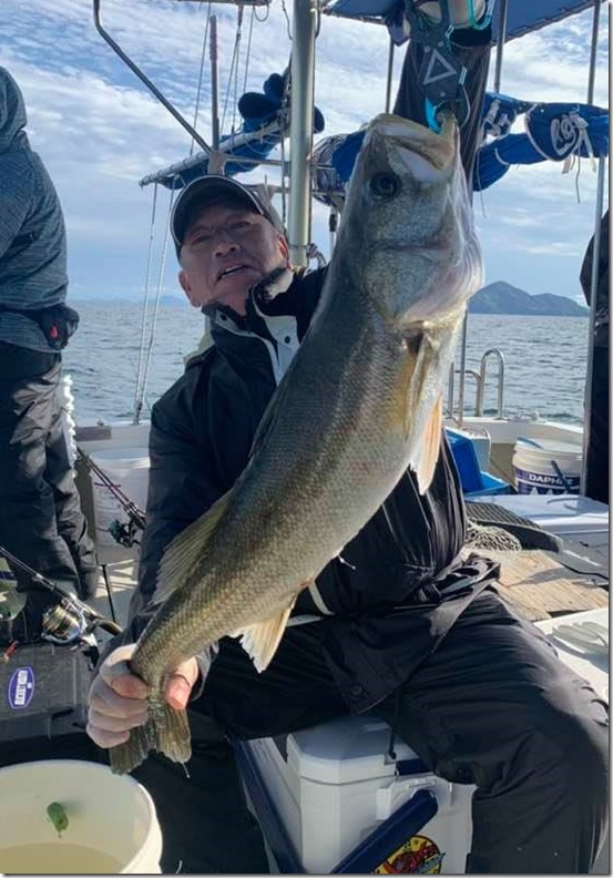 広島湾 岩国沖 ライトジギング サワラ ハマチ (22) 広島湾 岩国沖 ライトジギング サワラ ハマチ (22)